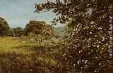 Early Canvas Paintings - Early Summer